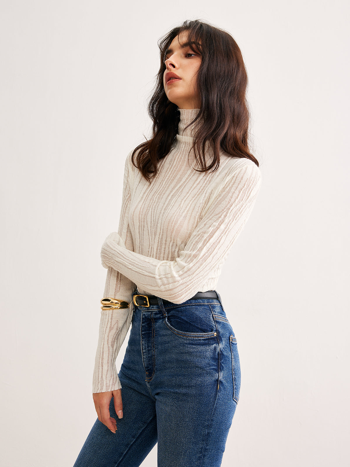 Semi-Sheer Turtleneck Slim T-Shirt