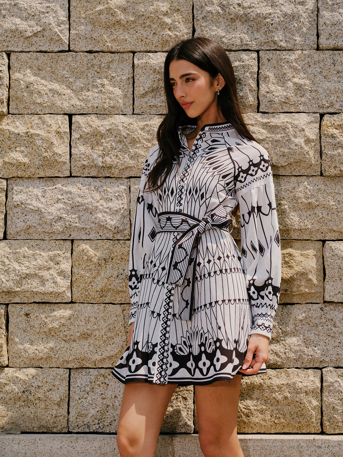 Linen Blend Long Sleeve Belted Dress