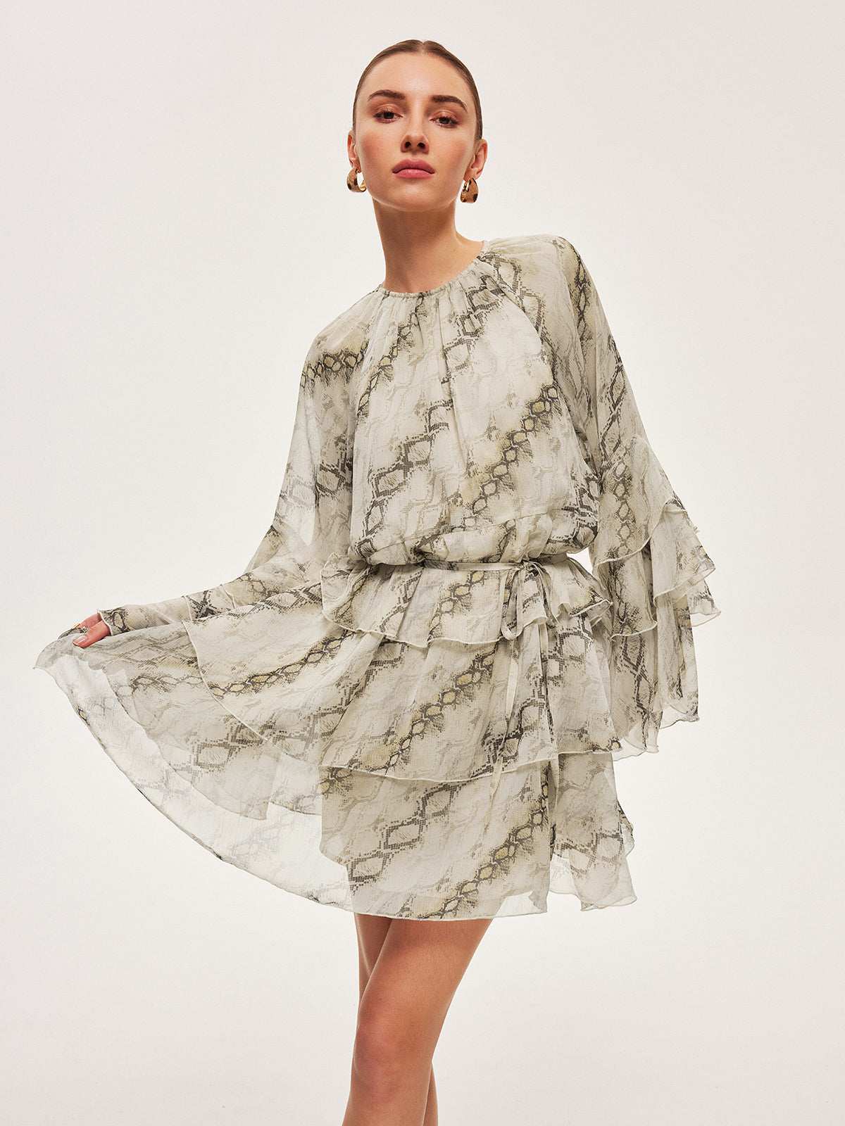 Sheer Print Ruffle Tie-Waist Dress