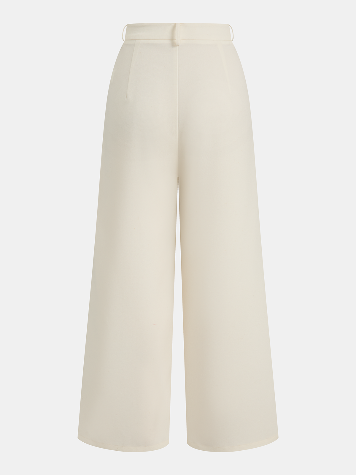 Semi-Sheer Sleeveless Belted Top & Pleated Pants Set