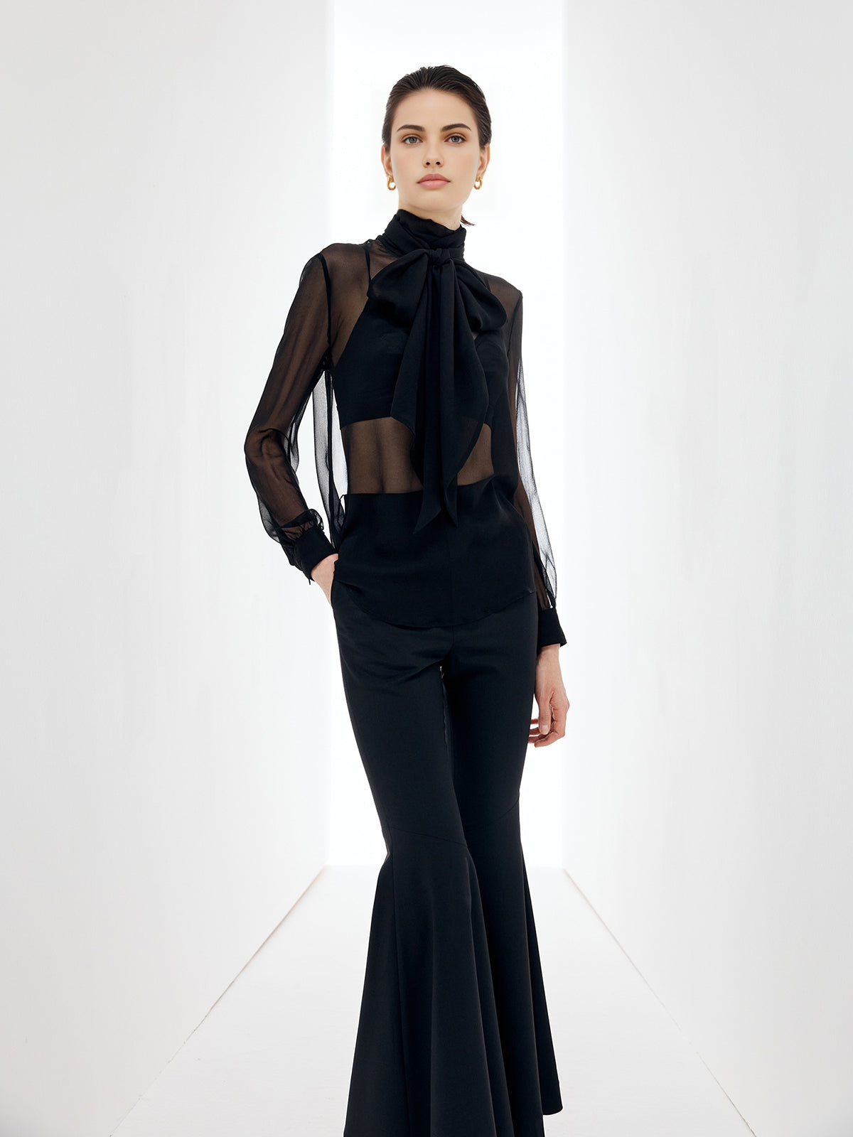 Sheer Bow Chiffon Blouse