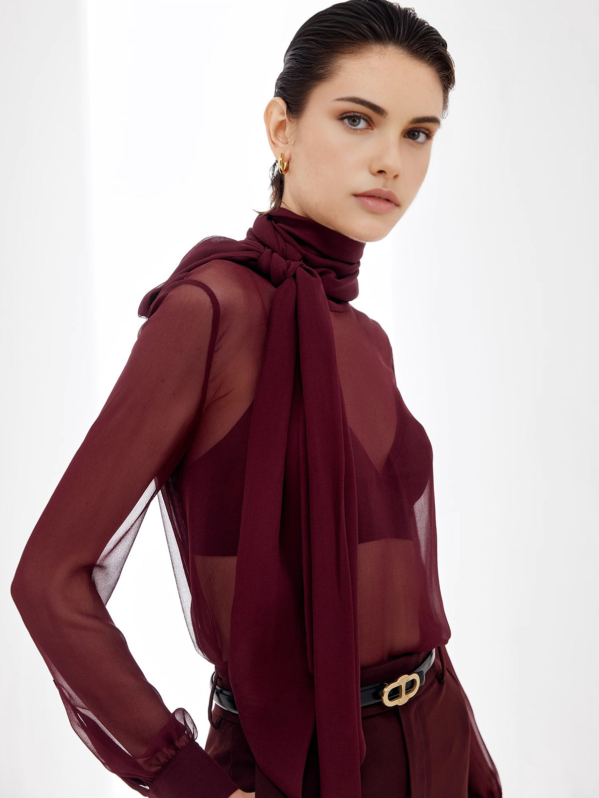 Sheer Bow Chiffon Blouse