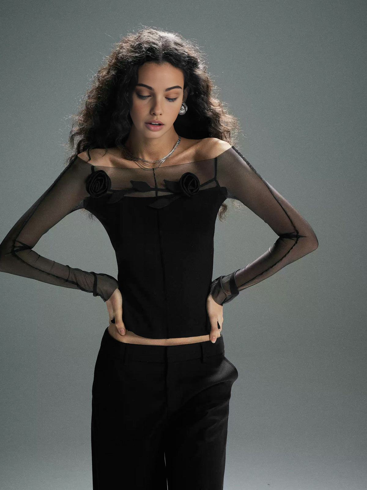 3D Flower Off-Shoulder Sheer Mesh Panel T-Shirt