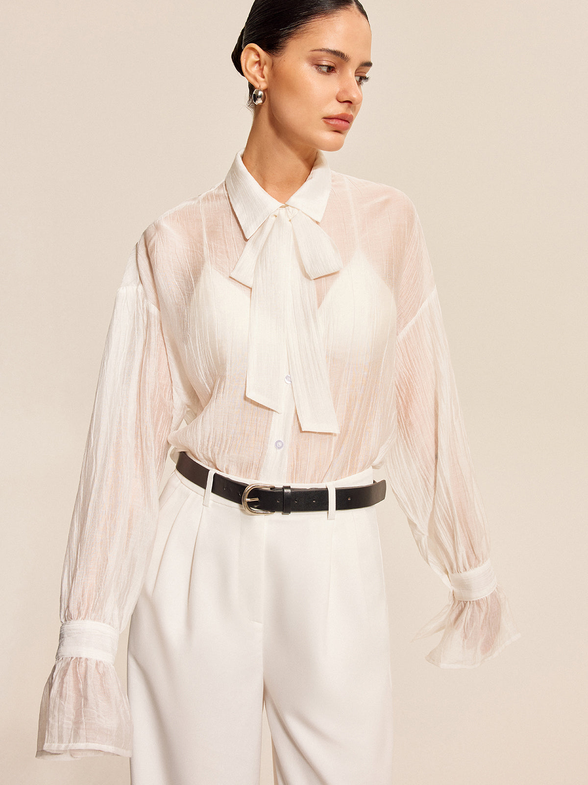 Sheer Bow Tie Blouse
