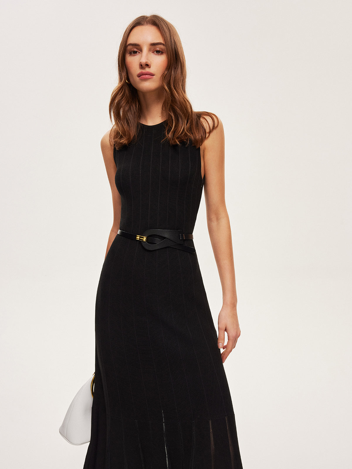 Semi-Sheer Mesh Flared Dress Without Belt