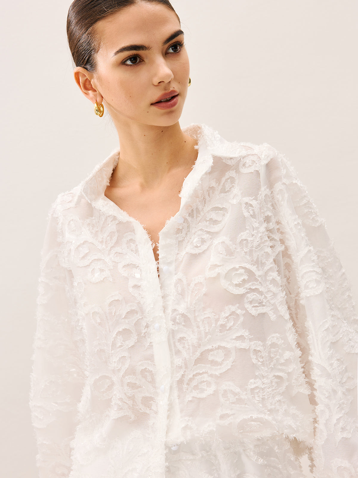 Sheer Embroidered Skirt Set